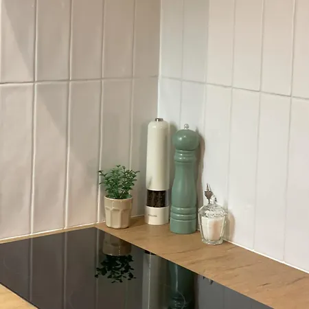 Apartament Studzienna Prestige Old Town Elblag Exterior photo